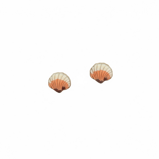 Seashell earrings