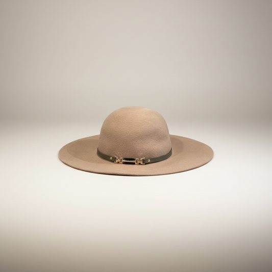 Felt hat